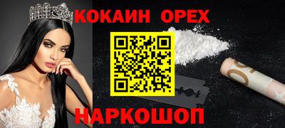 гидра Братск