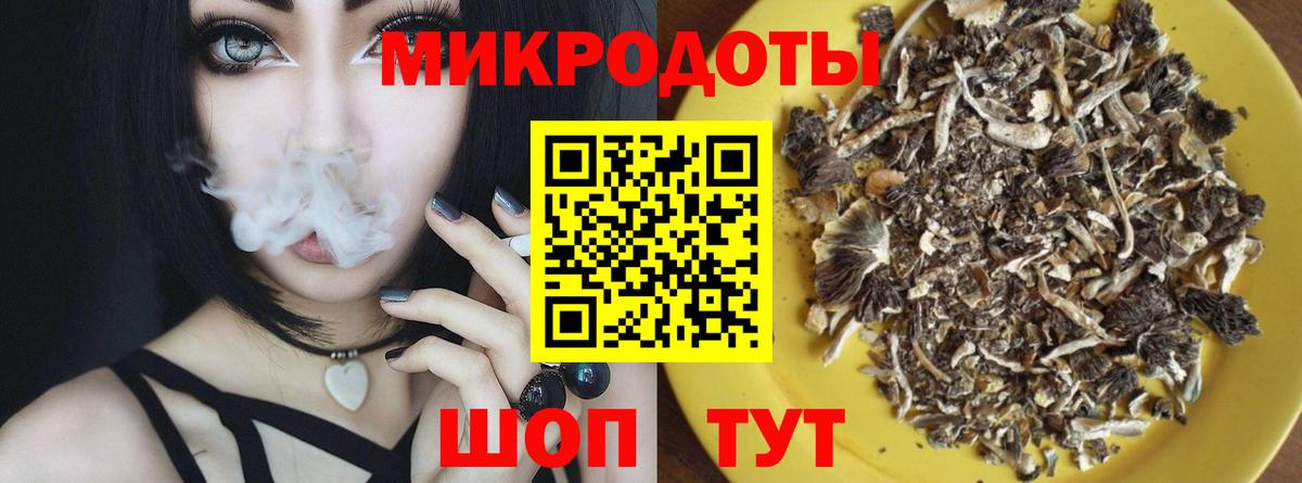 Галлюциногенные грибы Psilocybine cubensis Асино